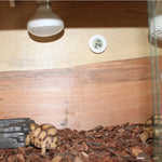 Digital Round Shaped Reptile Box Centigrade Thermometer & Hygrometer with Screen Display