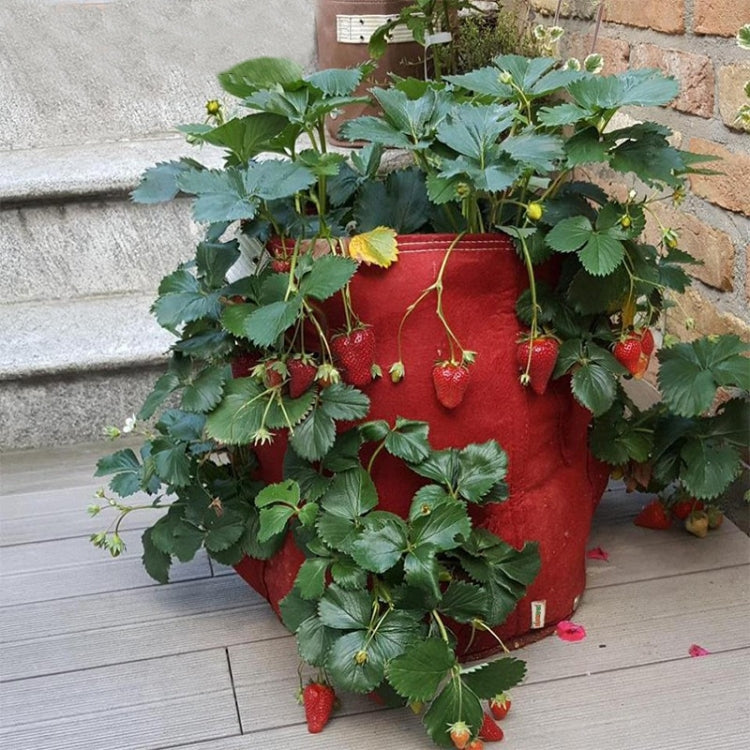 6 Pockets 26L / 7 Gallon Non-woven Felt Strawberry Planting Bag, Size: 30X35cm, Size: 30X35cm