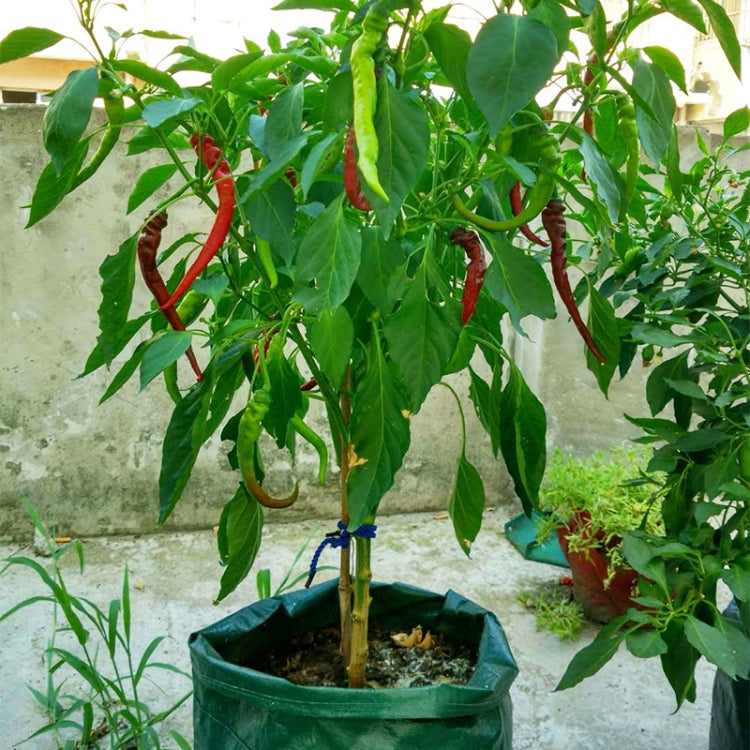 6 Pockets 26L / 7 Gallon Non-woven Felt Strawberry Planting Bag, Size: 30X35cm, Size: 30X35cm