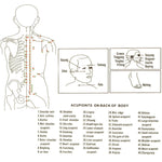 4 Cups / Set Health Care Body Massage Cupping Therapy Anti Cellulite Silicone Vacuum Cups