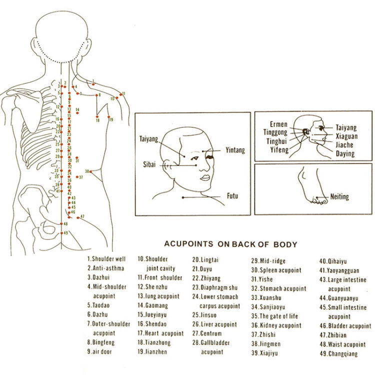 4 Cups / Set Health Care Body Massage Cupping Therapy Anti Cellulite Silicone Vacuum Cups