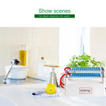 High Temperature Ceramic Plate Integrated Ozone Generator 220V 10g Air Purifier, AC 220V 10G