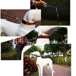 Pet Dogs Nylon Night Reflective Breathable Handheld Traction Lead Leash, Size: M, Adjustable Range: 2.5*(100-140cm), Size: M, Adjustable Range: 2.5*(100-140cm)