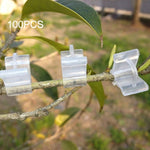 100 PCS Plant Grafting Gardening Plastic Grafting Folder Grafting Clip Transparent Gardening Plastic Grafting Clip Tomatoes Grafting Clips, Plant Grafting Clips