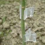 100 PCS Plant Grafting Gardening Plastic Grafting Folder Grafting Clip Transparent Gardening Plastic Grafting Clip Tomatoes Grafting Clips, Plant Grafting Clips