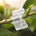100 PCS Plant Grafting Gardening Plastic Grafting Folder Grafting Clip Transparent Gardening Plastic Grafting Clip Tomatoes Grafting Clips, Plant Grafting Clips