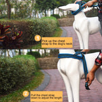 Pet Dogs A7 Reflective Polyester Chest Harness Lead Leash Traction Big Dogs Safety Chain Rope Collar, Size: S, 2.0*50*62cm, Size: S, 2.0*50*62cm