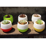 Colourful Mini Round Plastic Plant Flower Pot Garden Home Office Decoration Nursery Pots  Plant Flowerpot with Water Tank, Random Color Delivery, Flower Pot 3