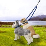 Pet Telescopic Buffer Double Traction Rope Nylon Reflective Braided Rope, Small, Length: 70cm, Random Color Delivery , Double Traction 70cm