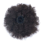 FBBZT02 European and American Black People Explosion Head Fluffy Curl Hair Net Wig