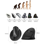 DELUX M618 Mini 2.4G Wireless 2400DPI USB Rechargeable Ergonomic Vertical Mouse, M618 Grey