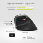 DELUX M618 Mini 2.4G Wireless 2400DPI USB Rechargeable Ergonomic Vertical Mouse, M618 Grey