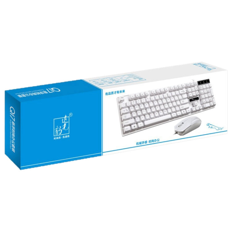 Chasing Leopard Q17 104 Keys USB Wired Suspension Gaming Office Keyboard + Wired Symmetrical Mouse Set, Keyboard Cable Length: 1.4m, Mouse Cable Length: 1.3m, Q17 White, Q17 Black