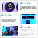 Chasing Leopard G21 USB 104-keys Waterproof Floating Round Punk Keycap Colorful Backlight Mechanical Feel Wired Keyboard, Length: 1.3m