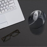 DELUX M618GX Wireless Ergonomic Vertical Mouse 1600DPI Optical Mouse, M618GX