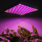 225 LEDs Greenhouse Light Aquarium Light, AC 85-265V, 45W/SMD 2835