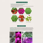 225 LEDs Greenhouse Light Aquarium Light, AC 85-265V, 45W/SMD 2835