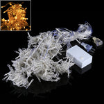 300 LEDs Curtain String Light with End Joint & Multi-function Controller & Memory Waterproof, US Plug, AC 110V, White Light US Plug, Warm White US Plug