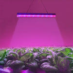 24 LEDs Greenhouse Light Aquarium Light, T5 4.8W(US), T5 4.8W
