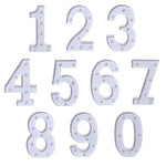 Dry Battery Powered Warm White Standing Hanging Holiday Light, LED6214A, LED6214B, LED6214C, LED6214D, LED6214E, LED6214F, LED6214G, LED6214H, LED6214J, LED6214K