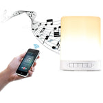 with LED Light & Handle, Support AUX IN & Hands-free Answer & TF Card, 388