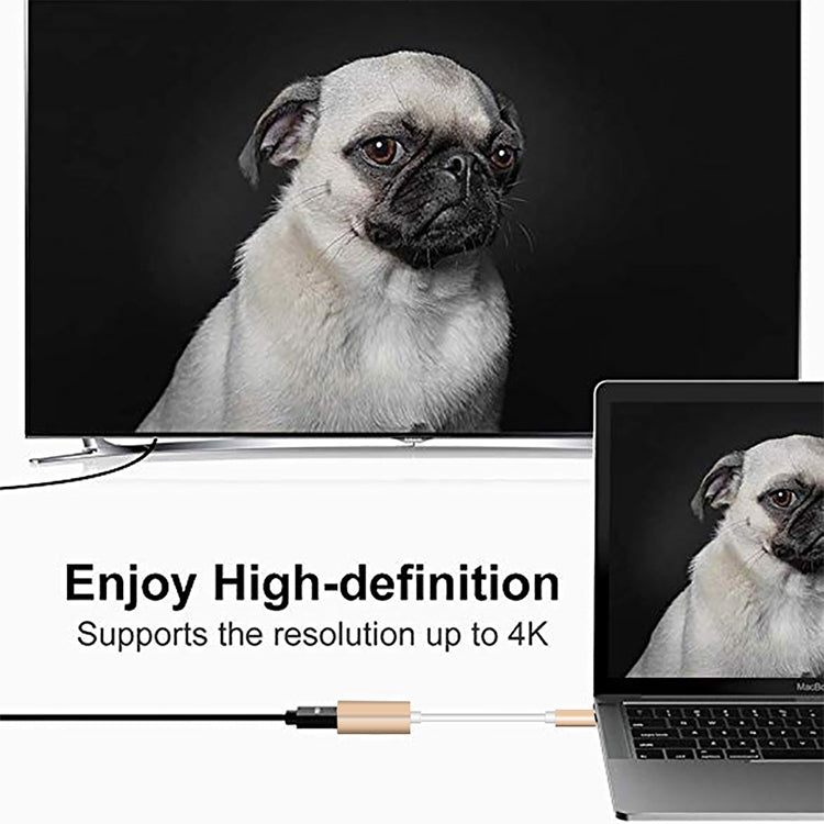 USB-C / Type-C 3.1 Male to Mini DP Female HD Converter, Length: 12cm, Silver, Gold