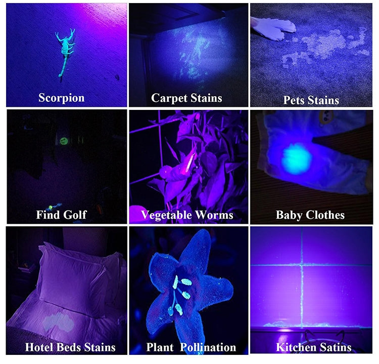 1902B Flashlight Rechargeable Lantern 4 Lighting Mode, 1902A, 1902B