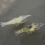 10 PCS 4cm Fishing Soft Bait Lures Popper Poper Baits, Luminous Shrimp, Pink Shrimp, Green Shrimp, Transparent Shrimp, Artificial Shrimp