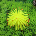 Aquarium Articles Decoration TPR Simulation Sea Urchin Ball Coral with Point, Size: M, Diameter: 10cm, 10cm