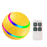 O1 Intelligent Remote Control Pet Toy Dog Training Luminous Ball, Remote Control