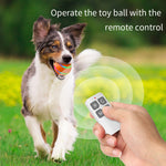 O1 Intelligent Remote Control Pet Toy Dog Training Luminous Ball, Remote Control