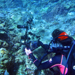 PULUZ 8 inch 20.3cm Aluminum Alloy Ball Arm for Underwater Torch / Video Light, Ball Diameter: 2.5cm, 8 inch Single Ball