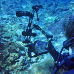 PULUZ Dreifach-Kugelgelenkklemme Tauchkamerahalterung Aluminium-Federtaschenlampenklemme für Tauch- und Unterwasserfotografiesysteme, Dreifach-Kugelgelenk (Schwarz)