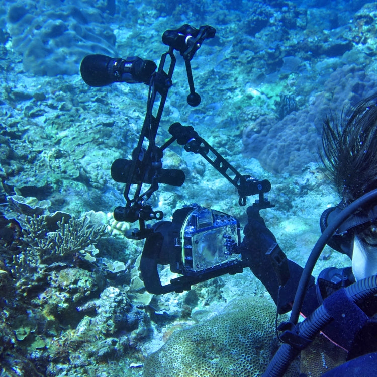 PULUZ Dreifach-Kugelgelenkklemme Tauchkamerahalterung Aluminium-Federtaschenlampenklemme für Tauch- und Unterwasserfotografiesysteme, Dreifach-Kugelgelenk (Schwarz)