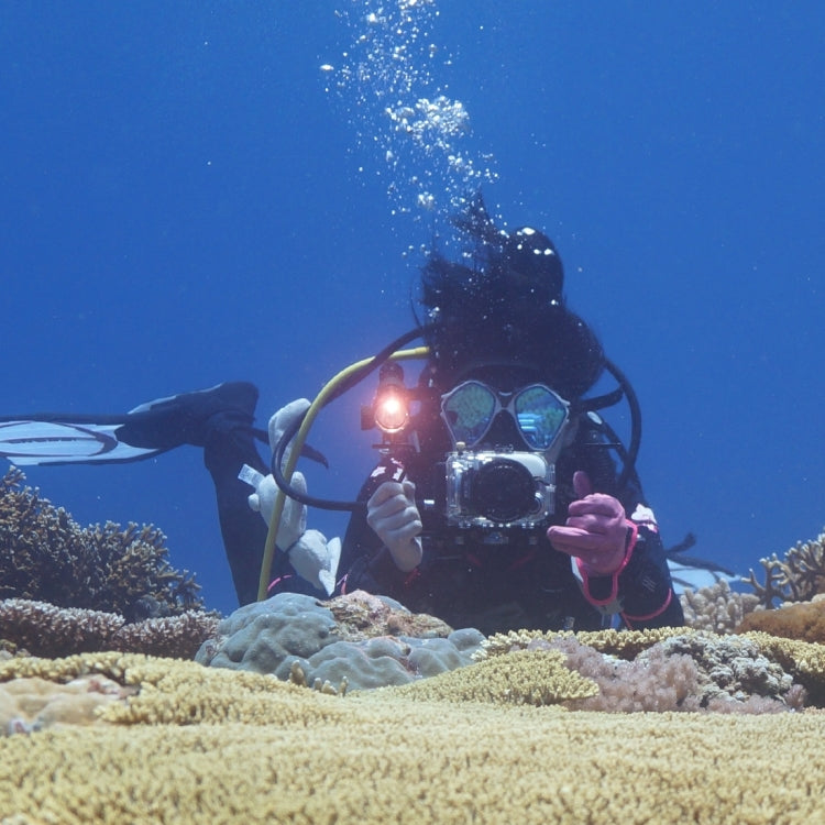 PULUZ Dual Handles Aluminium Alloy Tray Stabilizer for Underwater Camera Housings, Light Aluminium Tray Stabilizer(Red), Light Aluminium Tray Stabilizer(Black)