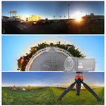 PULUZ Pocket Mini Tripod Mount with 360 Degree Ball Head & Phone Clamp for Smartphones, Tripod + Clamp