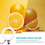 PULUZ حلقة إضاءة LED RGBW قابلة للتعتيم بقياس 6.2 بوصة 16 سم USB مع 10 أوضاع و8 ألوان للتصوير الفوتوغرافي والفيديو مع رأس كرة حامل ثلاثي القوائم، 6.2 بوصة RGBW