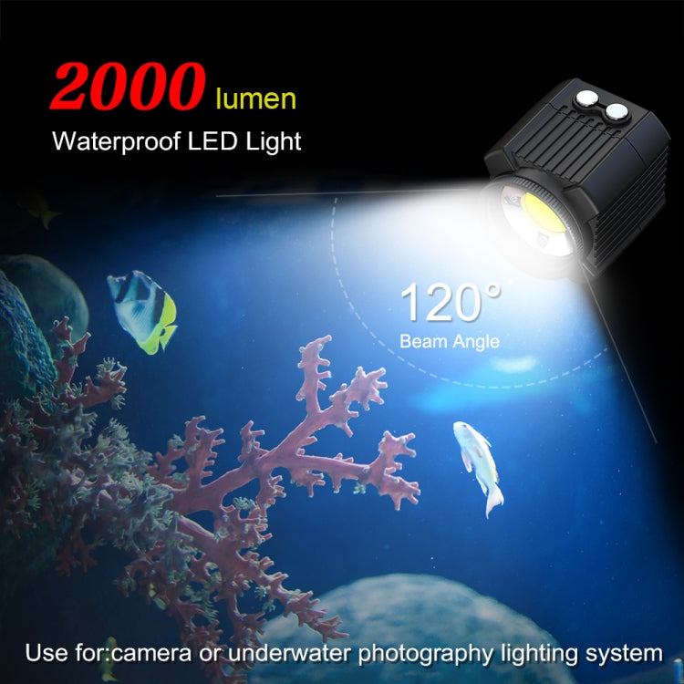Éclairage LED sous-marin PULUZ 60 m pour la photographie, 7,4 V/1100 mAh, compatible avec GoPro, Insta360, DJI et autres caméras d'action.