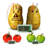 DIY Novel Green Science Potato Digital Clock Educational Kit with 2 inch LCD Screen (Potato NOT Included), Potato Digital Clock