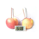 DIY Novel Green Science Potato Digital Clock Educational Kit with 2 inch LCD Screen (Potato NOT Included), Potato Digital Clock