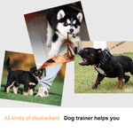 Electric Dog Remote Control Training, White