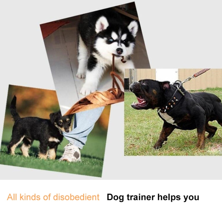 Electric Dog Remote Control Training, White