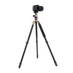 Triopo MT-2504C Adjustable Portable Aluminum Tripod with NB-1S Ball Head for Canon Nikon Sony DSLR Camera, MT-2504C (Black), MT-2504C (Gold)