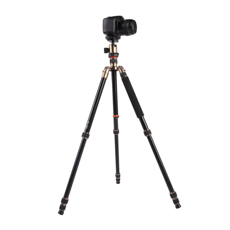 Triopo MT-2504C Adjustable Portable Aluminum Tripod with NB-1S Ball Head for Canon Nikon Sony DSLR Camera, MT-2504C (Black), MT-2504C (Gold)