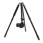 Triopo MT-2504C Adjustable Portable Aluminum Tripod with NB-1S Ball Head for Canon Nikon Sony DSLR Camera, MT-2504C (Black), MT-2504C (Gold)