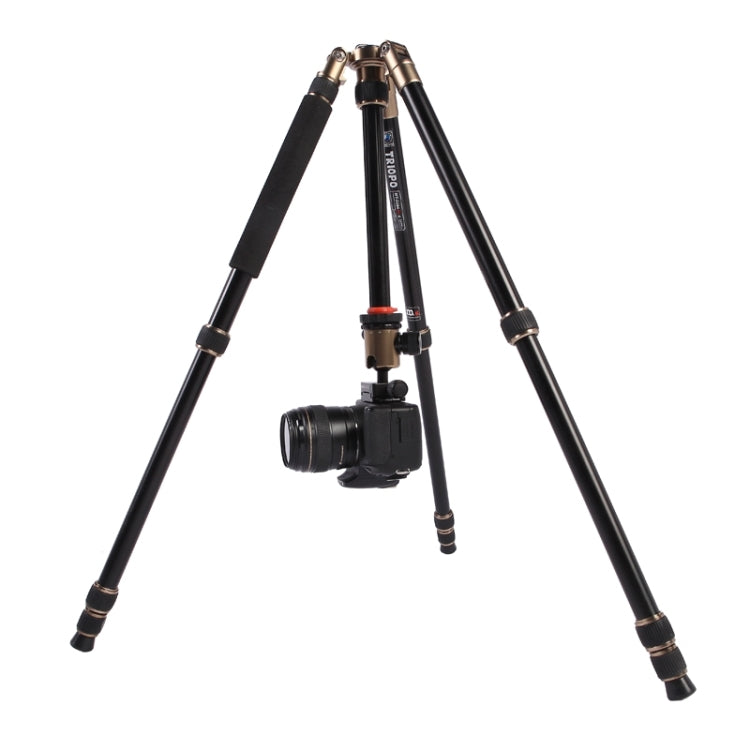 Triopo MT-2504C Adjustable Portable Aluminum Tripod with NB-1S Ball Head for Canon Nikon Sony DSLR Camera, MT-2504C (Black), MT-2504C (Gold)