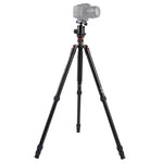 Triopo MT-2804C Adjustable Portable Aluminum Tripod with NB-2S Ball Head for Canon Nikon Sony DSLR Camera, MT-2804C (Black), MT-2804C (Gold)