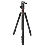 Triopo MT-2804C Adjustable Portable Aluminum Tripod with NB-2S Ball Head for Canon Nikon Sony DSLR Camera, MT-2804C (Black), MT-2804C (Gold)