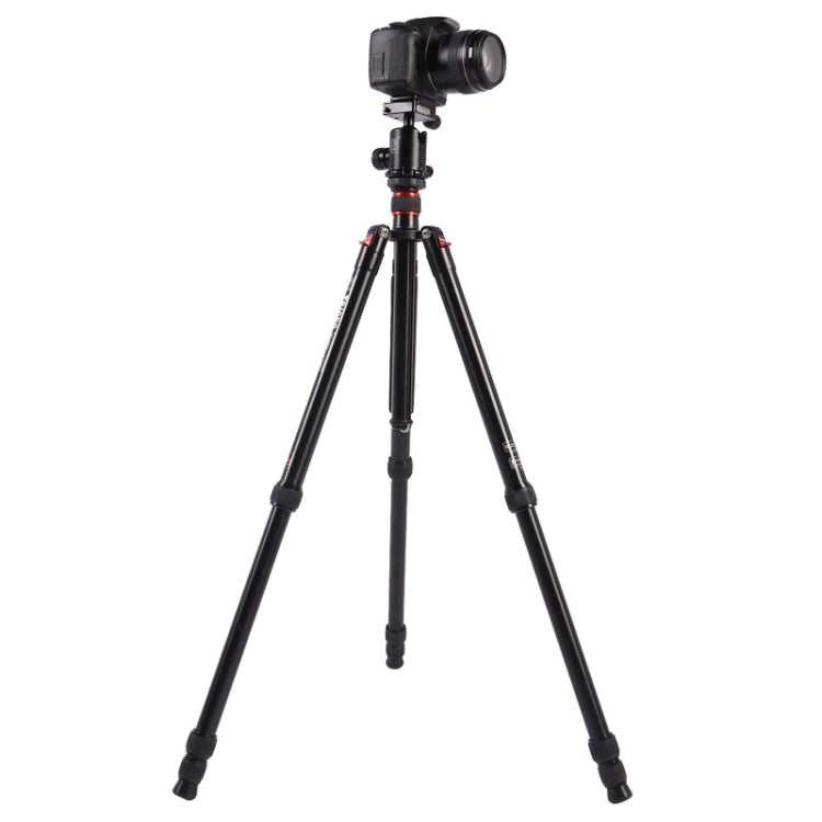 Triopo MT-2804C Adjustable Portable Aluminum Tripod with NB-2S Ball Head for Canon Nikon Sony DSLR Camera, MT-2804C (Black), MT-2804C (Gold)