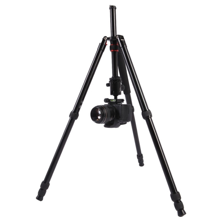 Triopo MT-2804C Adjustable Portable Aluminum Tripod with NB-2S Ball Head for Canon Nikon Sony DSLR Camera, MT-2804C (Black), MT-2804C (Gold)